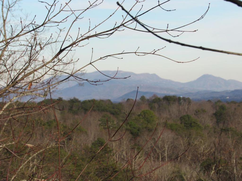 View! Cozy, Private, Fireplace, Hot Tub Log Cabin, Honeymoon! Sevierville Luaran gambar